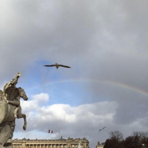 arcobaleno su manifestazione